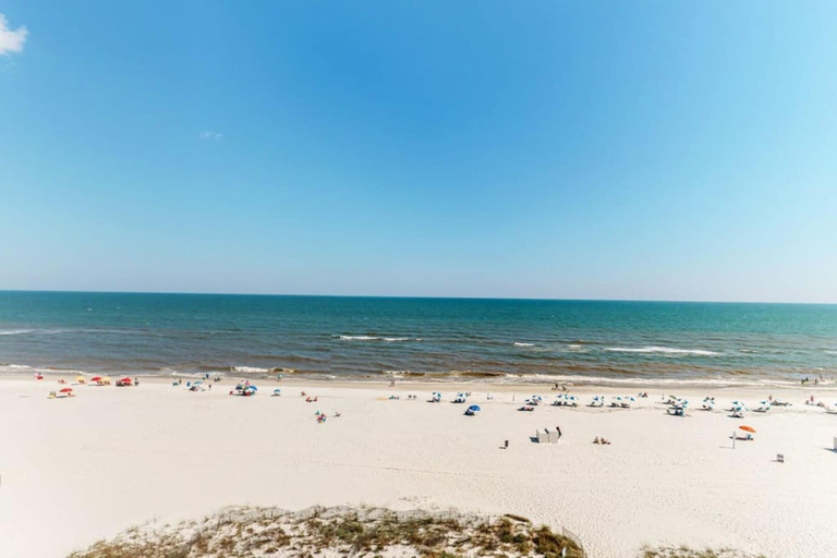 Others 5, Tradewinds 603, Baldwin