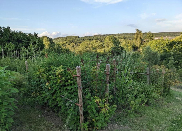 View from property 3, Haven With Private Garden, Luxembourg