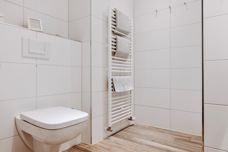 Bathroom 4, Hotel Inselhof Borkum, Leer
