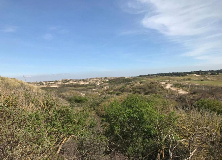 View from property 3, Holiday Home Noordwijkerhout by Beach, Noordwijk