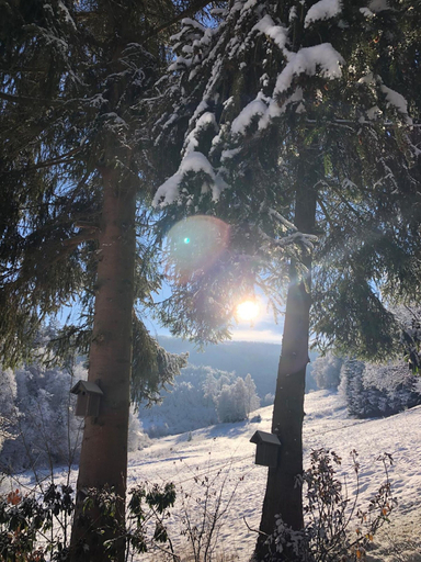 Garden 3, Ruckzugsort am Teich in Winterberg, Hochsauerlandkreis