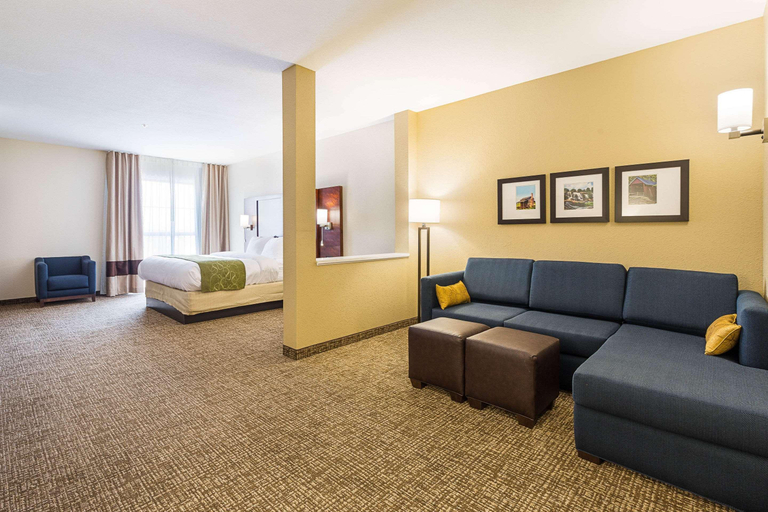 Public Area 2, Comfort Suites Greenville South, Anderson