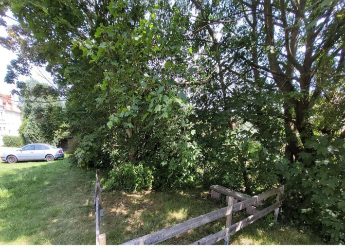 View from property 2, Villa in Rotschonberg, Mittelsachsen