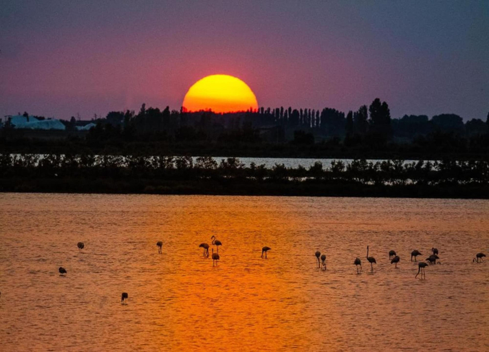 View from property 5, Peaceful Coastal Stay, Rosolina, Rovigo