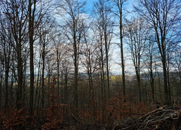 View from property 3, Romantic Escape in Altmuhltal, Eichstätt