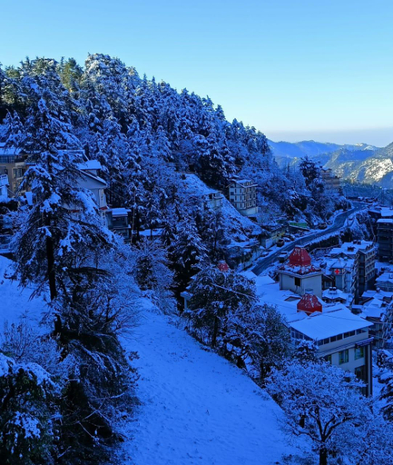 Others 5, The Grand Madhushala, Shimla