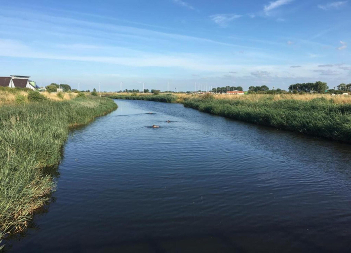 View from property 5, Quiet Getaway w/ Terrace, West-Vlaanderen