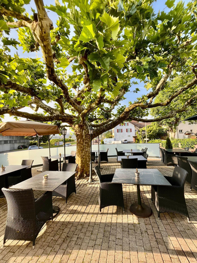 Food & Drinks 4, Seilers Hotel, Liestal