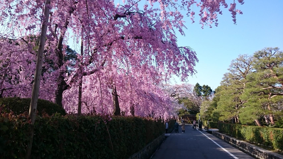 Others 4, Rokuroku, Kyoto
