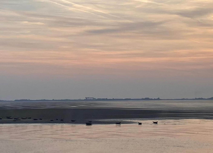 View from property 3, Luxe Stay With Sauna & Garden, Tholen