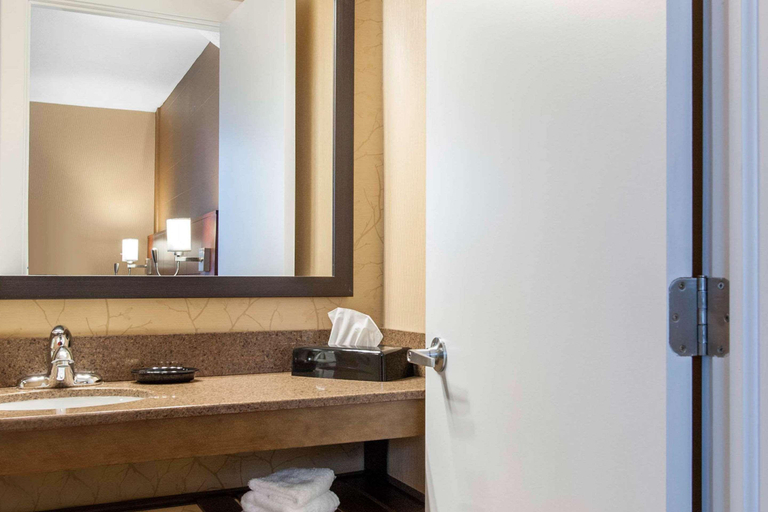 Bathroom 4, Quality Hotel & Suites Gander, Division No. 6
