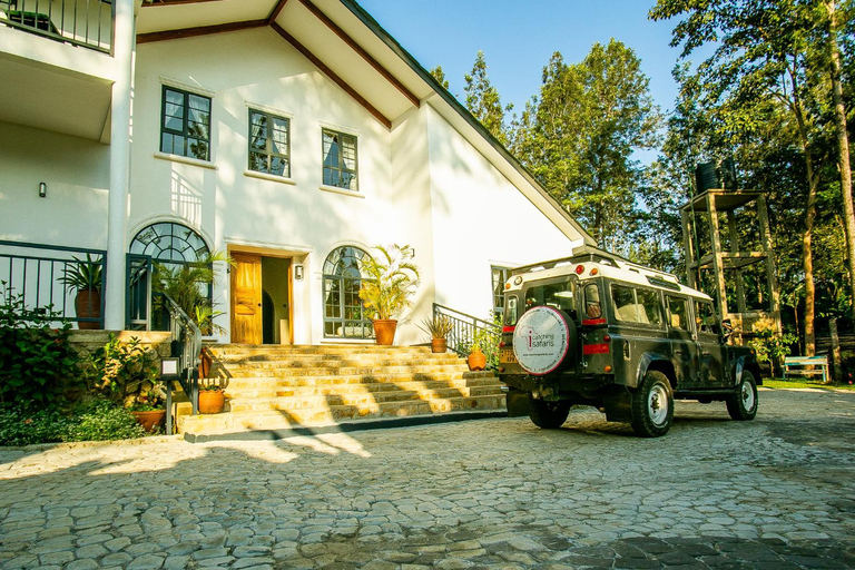 Others 3, Treetops Villa, Meru