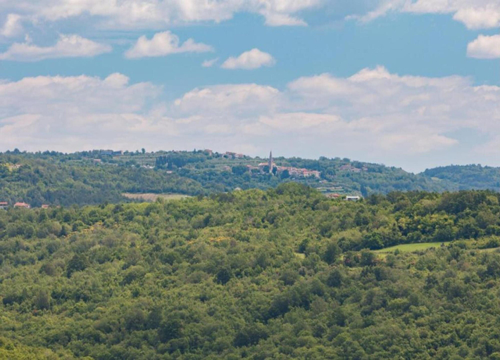 View from property 2, Apartment in Croatia Near the Coast, Brtonigla