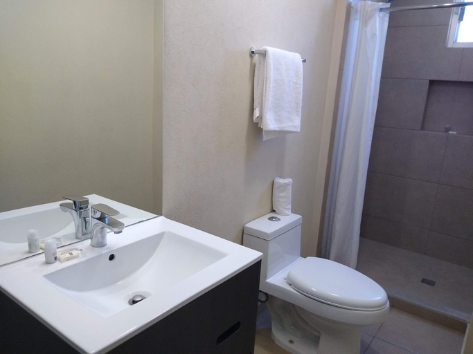 Bathroom 4, Comfort Inn San Luis Potosi, San Luis Potosí