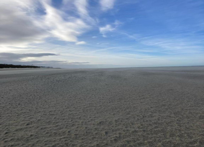 View from property 5, Apartment by St. Andre Dunes and Sea, West-Vlaanderen