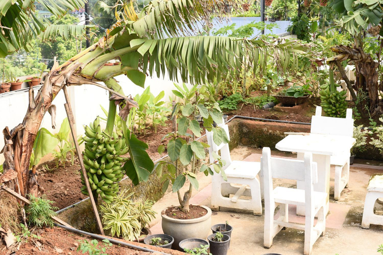 Others 3, Sasiri Lanka Rooms & Apartment, Galle Four Gravets