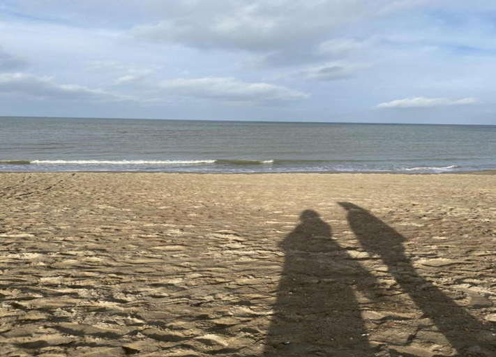 View from property 5, Beachside Eco Retreat, West-Vlaanderen