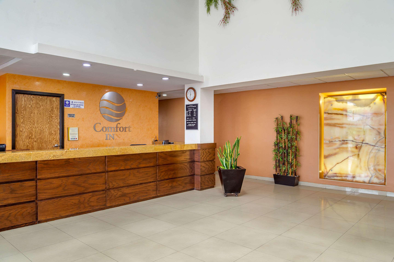 Public Area 2, Comfort Inn Chihuahua, Chihuahua