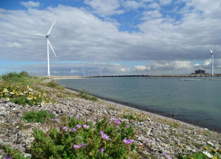 View from property 3, Lovely Holiday Home in Wissenkerke With Garden, Noord-Beveland