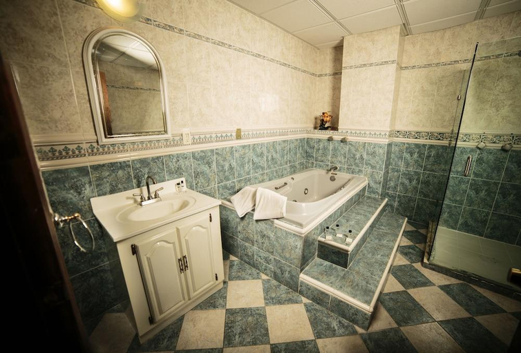 Bathroom 4, Hotel La Mansion Suiza, Aguascalientes