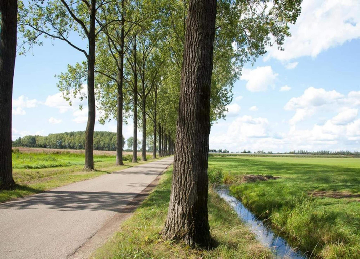 View from property 2, Holiday Home in Netherlands With Water Views, Buren