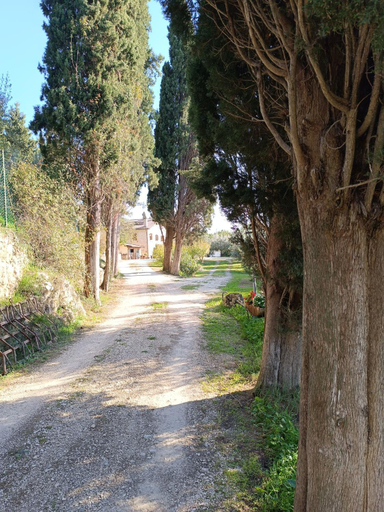Others 5, La Pietruzza, Perugia