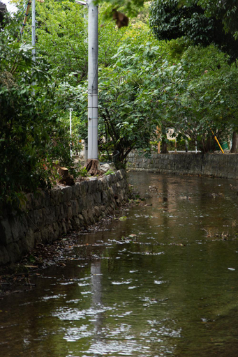 Surrounding environment 2, 初音(はつね), Kyoto