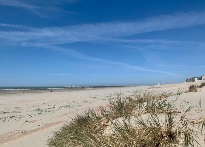 View from property 2, Cozy Family Duplex on the Belgian Coast, West-Vlaanderen