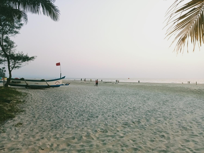 Others 5, Donarosa Apartment 2, South Goa