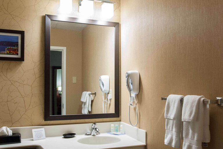 Bathroom 4, Quality Hotel & Suites, Division No. 6