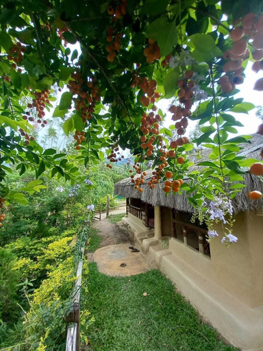 Others 5, Nature Tones By BRDGE HOSPITALITY, Idukki