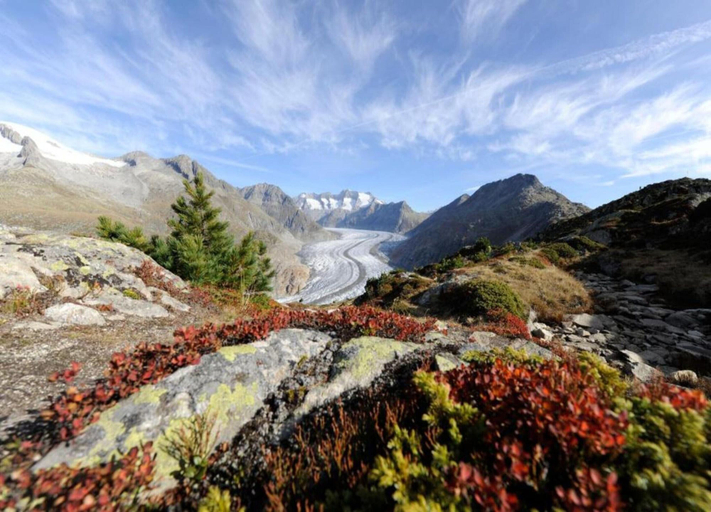 View from property 4, Alpine Chalet in Fieschertal, Goms