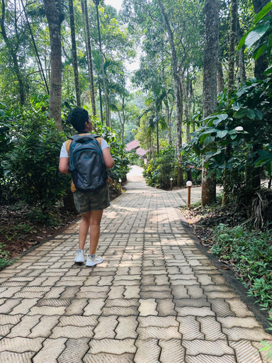 Surrounding environment 4, Drey at Druv Dakshin Farm Resort, Wayanad