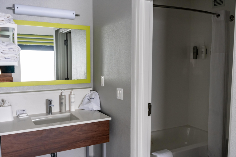 Bathroom 4, Hampton Inn & Suites Leesburg, Loudoun
