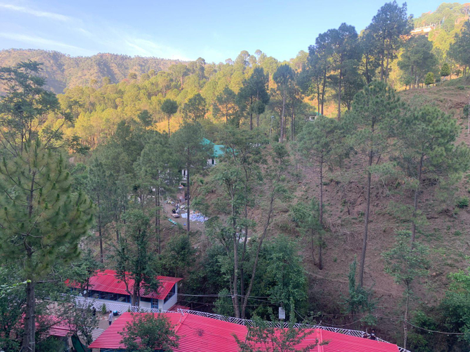 Others 2, Pine Trails Jungle Camp, Solan