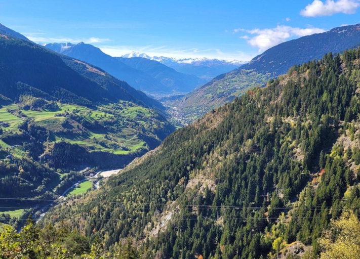 View from property 5, Alpine Chalet in Fieschertal, Goms