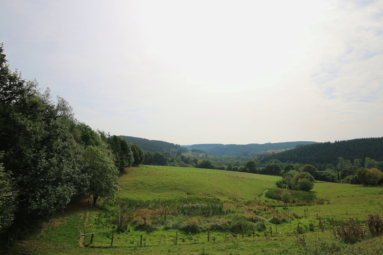 View from property 5, Great Holiday Home in Bastogne With Sauna, Luxembourg