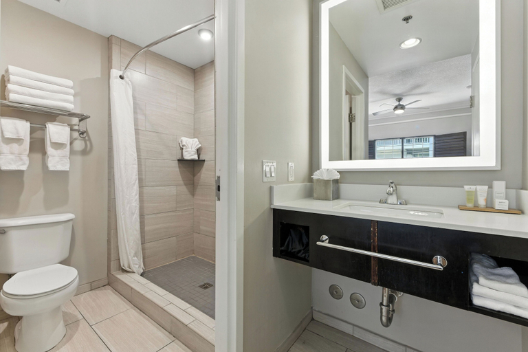 Bathroom 3, Radisson Resort at the Port, Brevard