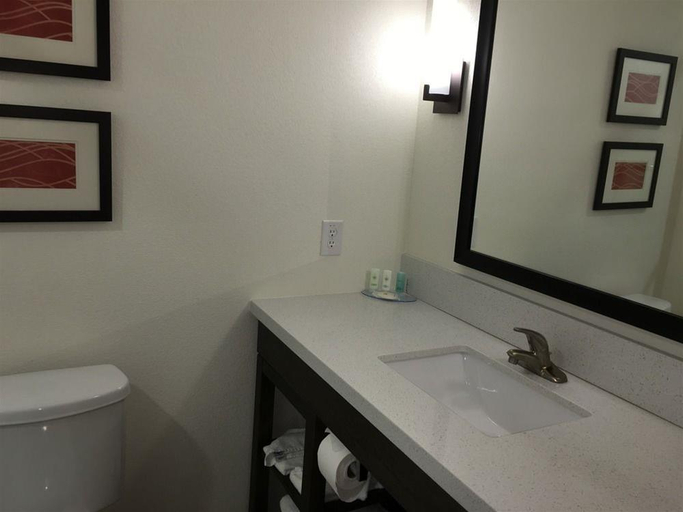 Bathroom 4, Comfort Inn & Suites, Scurry