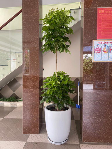 Others 5, Son Ca Motel, Huế