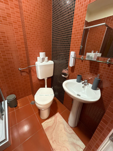 Bathroom 4, Pensiunea Magura, Moieciu De Jos
