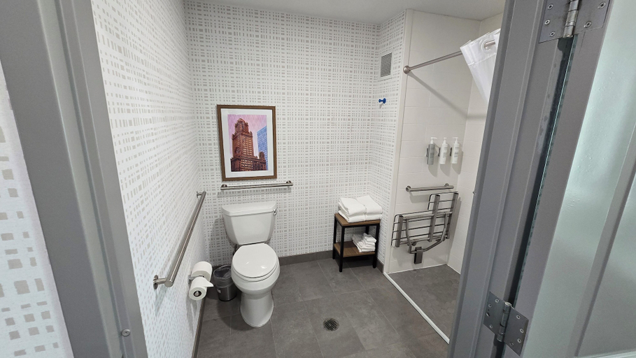 Bathroom 4, Hampton Inn & Suites Chicago Deer Park, Cook