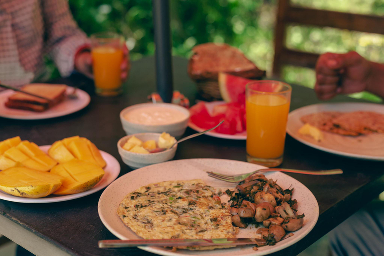Food & Drinks 4, Daak Bangla Retreat, Shimla