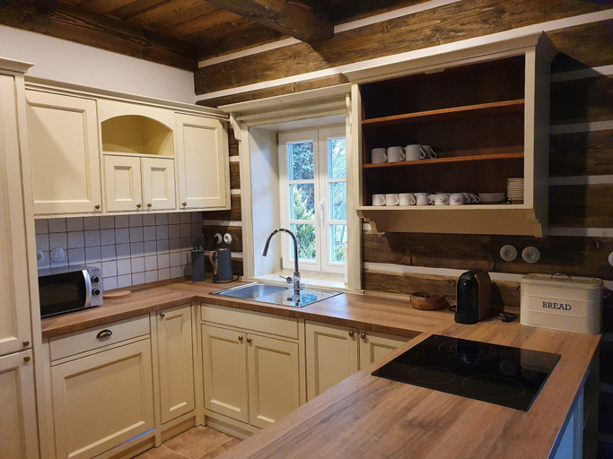 Private kitchen 5, Amazing Villa Near Horni Marsov ski Area, Trutnov