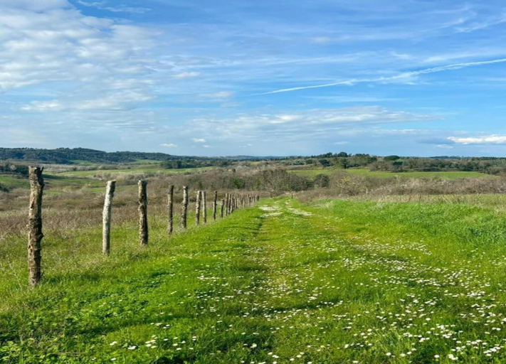 View from property 2, Pleasant Villa in Peccioli With Private Swimming Pool, Pisa