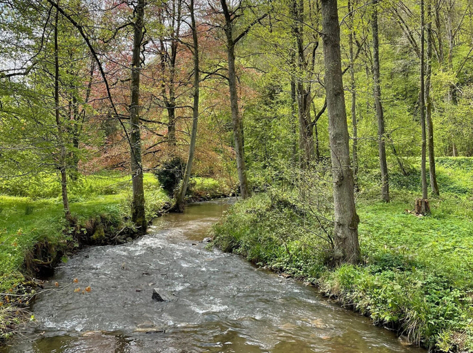 View from property 3, Castle in Ferrieres With Pond Garden, Liège