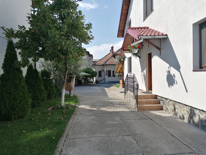 Exterior & Views 2, Pensiunea Ioana, Curtea De Arges