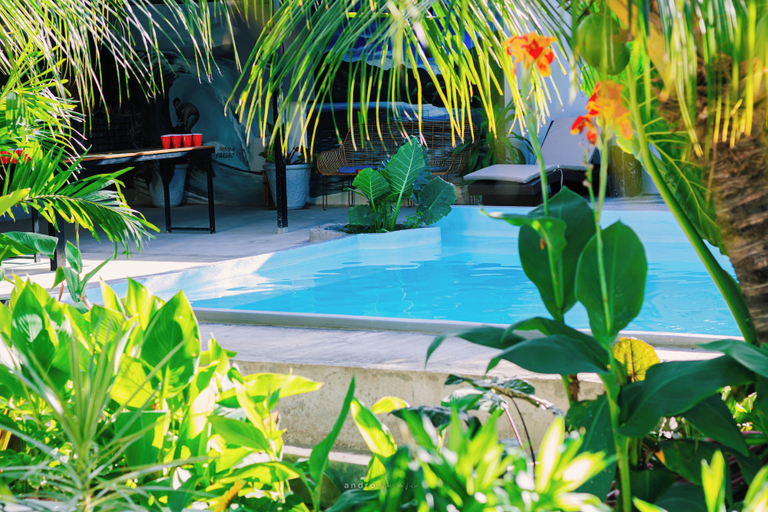 Sport & Beauty 5, Ananas Guesthouse, Moalboal