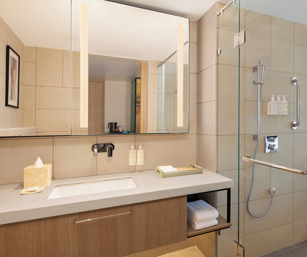 Bathroom 4, Hilton Garden Inn Surat City Centre, Surat