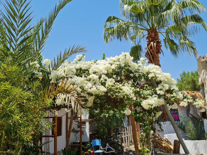 Others 4, Andyvone.dahab studios and guesthouse , Sant Katrin